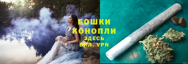 шишки Белокуриха