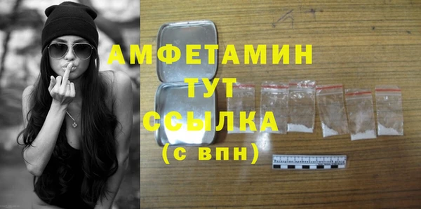 шишки Белокуриха
