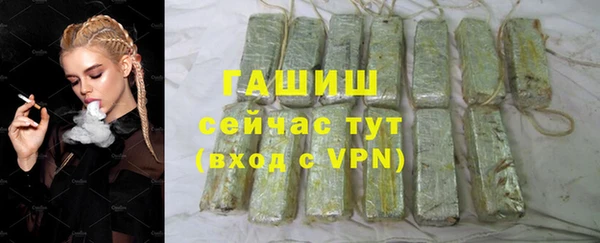 шишки Белокуриха