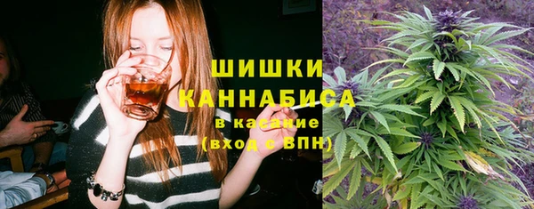 сатива Балабаново