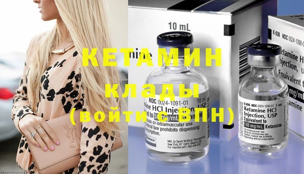 шишки Белокуриха