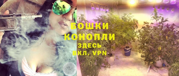 сатива Балабаново