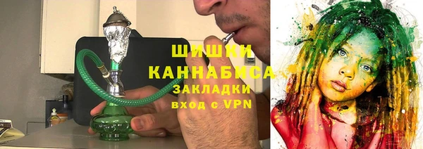 шишки Белокуриха